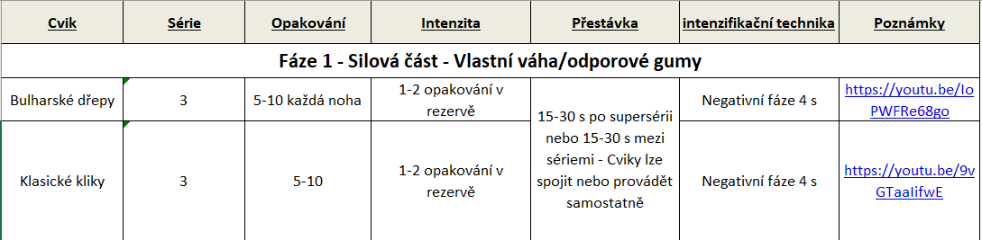 Tréninkový program pro rozvoj fyzické kondice