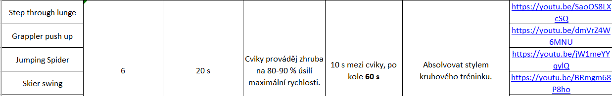 Tréninkový program pro rozvoj fyzické kondice